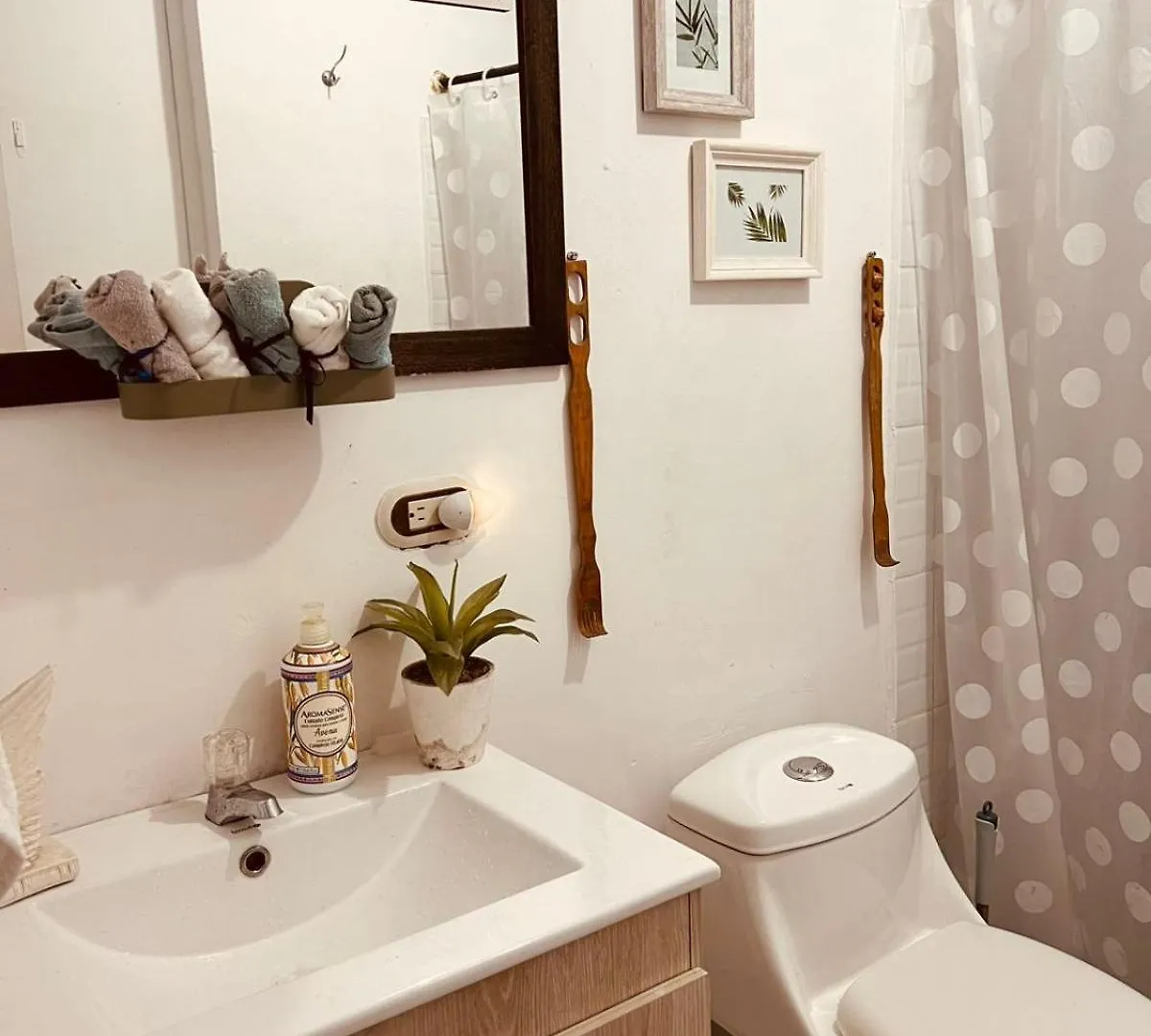 Bed & Breakfast Selene Hostal Coworking Cafe Medellin Colombia