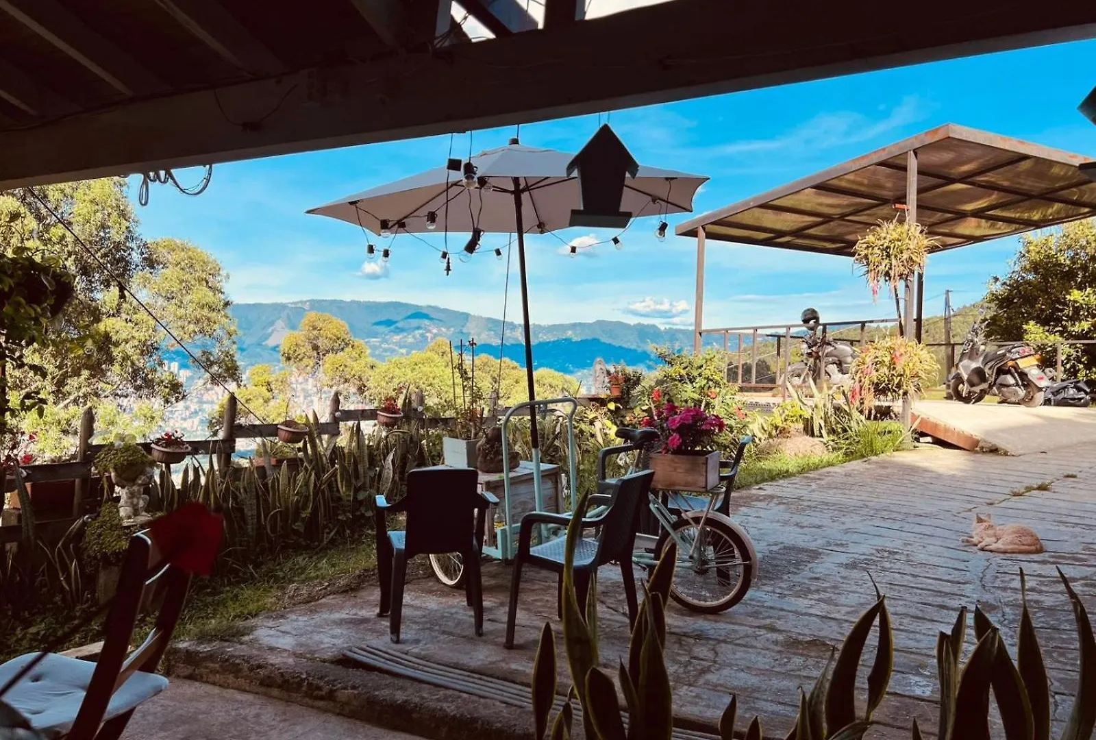 Selene Hostal Coworking Cafe Medellin Colombia